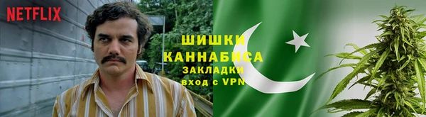 мескалин Богородицк