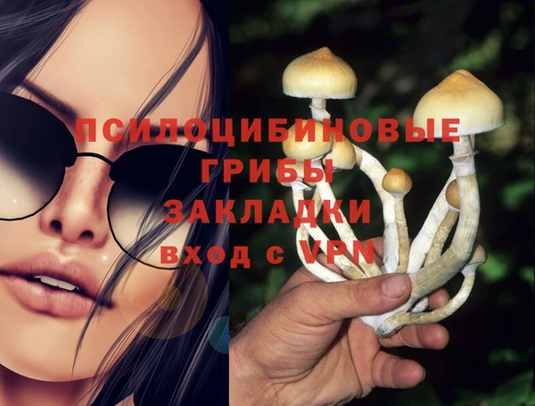 кокаин премиум Богданович