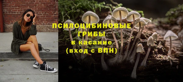 мескалин Богородицк